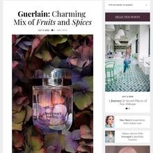Editorial Fashion Magazine Blog WordPress Responsive Website
