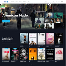 Videos WordPress Responsive Website