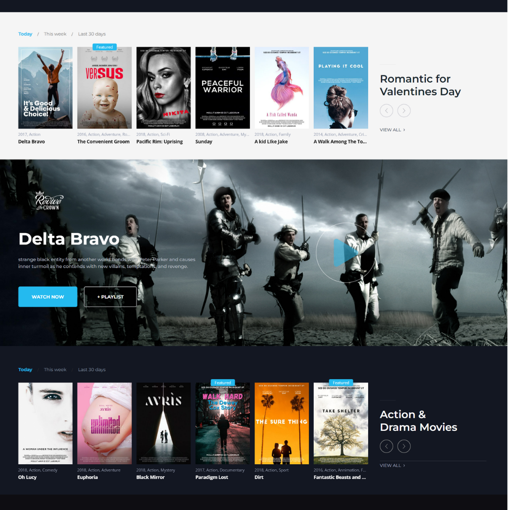 Videos WordPress Responsive Website