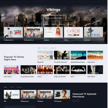 Videos WordPress Responsive Website