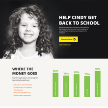 Non-Profit, Charity & Donations WordPress Responsive Website