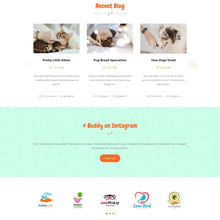 Animal Care Services Shopify Shopping Website