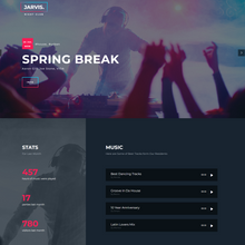 Night Club, Concert, Festival WordPress Responsive Website