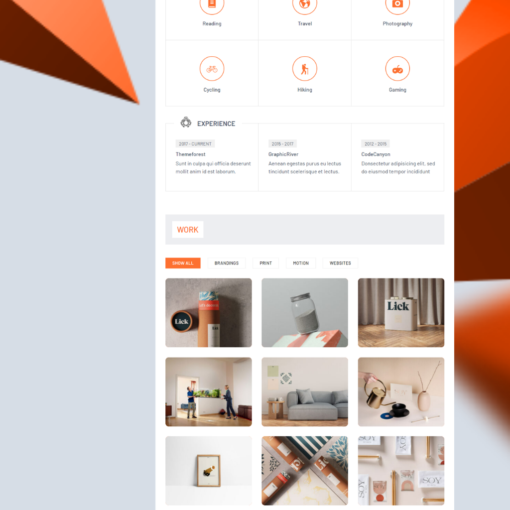 Portfolio WordPress Responsive Website