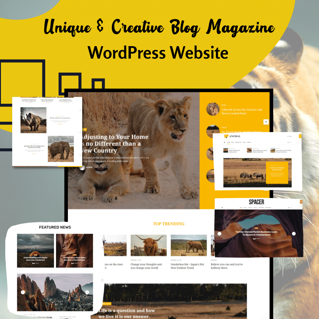 Unique & Creative Blog Magazine WordPress Responsive Website
