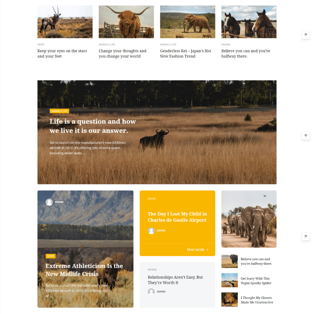 Unique & Creative Blog Magazine WordPress Responsive Website