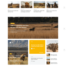 Unique & Creative Blog Magazine WordPress Responsive Website
