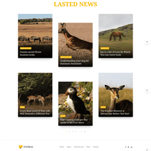 Unique & Creative Blog Magazine WordPress Responsive Website