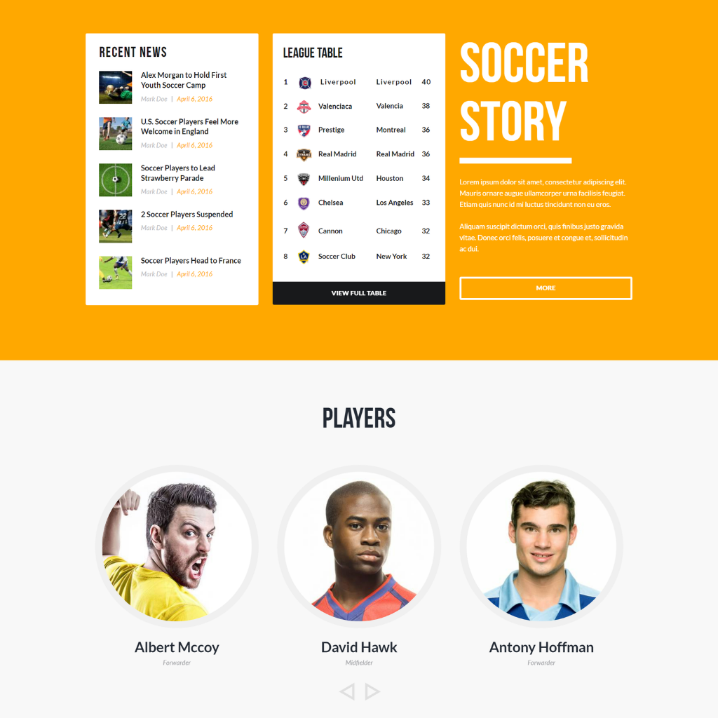 Soccer Club WordPress Responsive Website