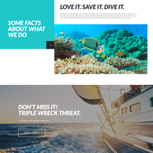 Professional Divers WordPress Responsive Website