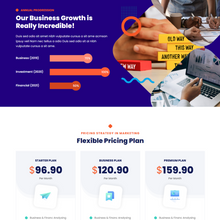 Business Advisor WordPress Responsive Website