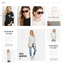 Denim Shopping WordPress Website