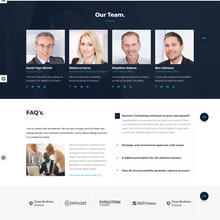 Consulting Services WordPress Responsive Website