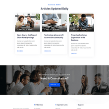 IT  Services & Solutions WordPress Responsive Website