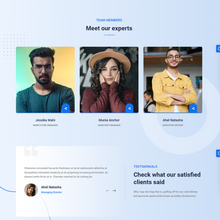 Consulting Business WordPress Responsive Website