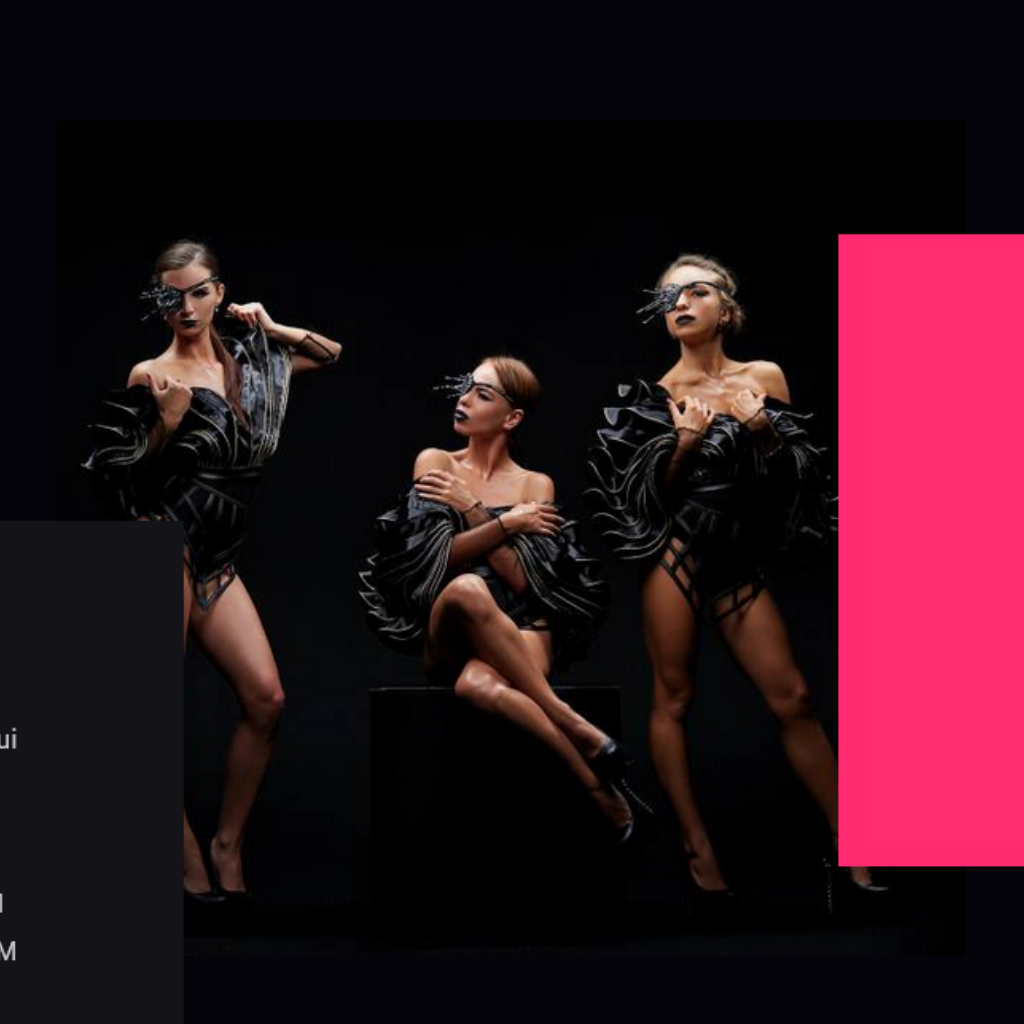Polo Dancing Club WordPress Responsive Website