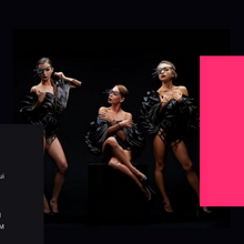 Polo Dancing Club WordPress Responsive Website