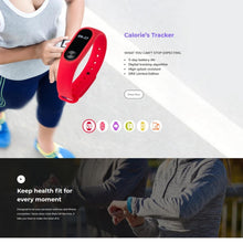 Gym & Fitness Store Shopify Shopping Website