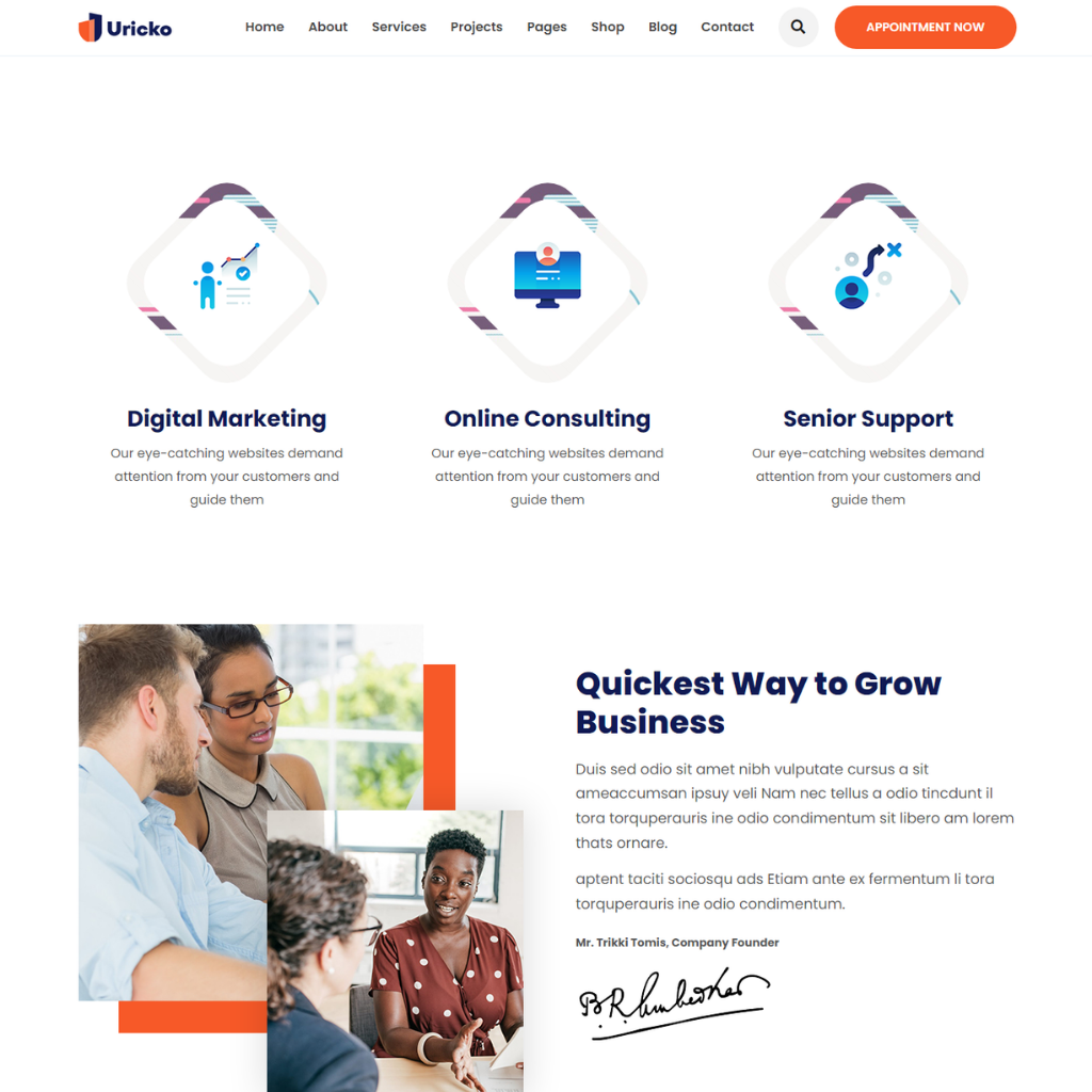 Business Advisor WordPress Responsive Website