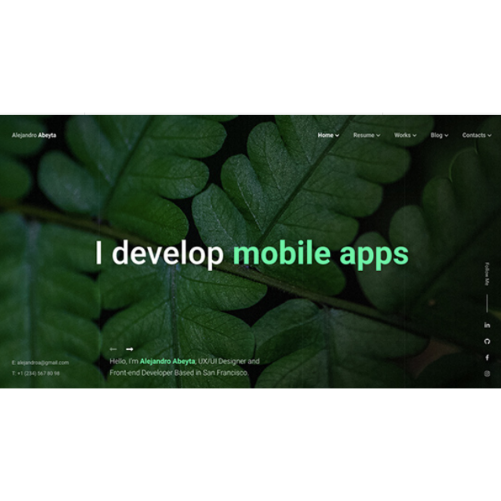 Creative App Developer WordPress Responsive Website
