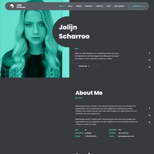 CV Resume &  Personal Portfolio WordPress Responsive Website