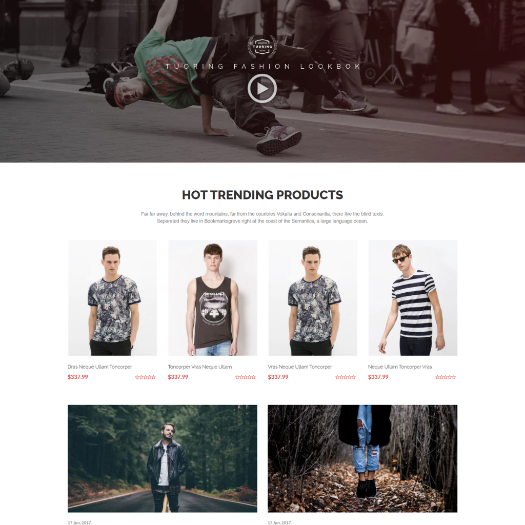 Multipurpose Responsive Shopify  Shopping Website