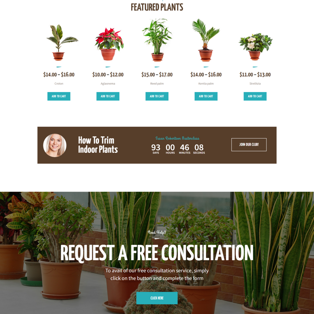 Houseplants store & Gardening WordPress Responsive Website