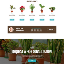 Houseplants store & Gardening WordPress Responsive Website