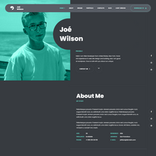 CV Resume &  Personal Portfolio WordPress Responsive Website