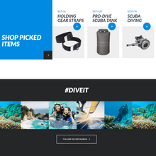 Professional Divers WordPress Responsive Website