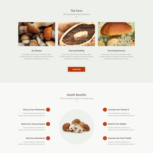 Mushroom Farm & Organic Products Store WordPress Responsive Website