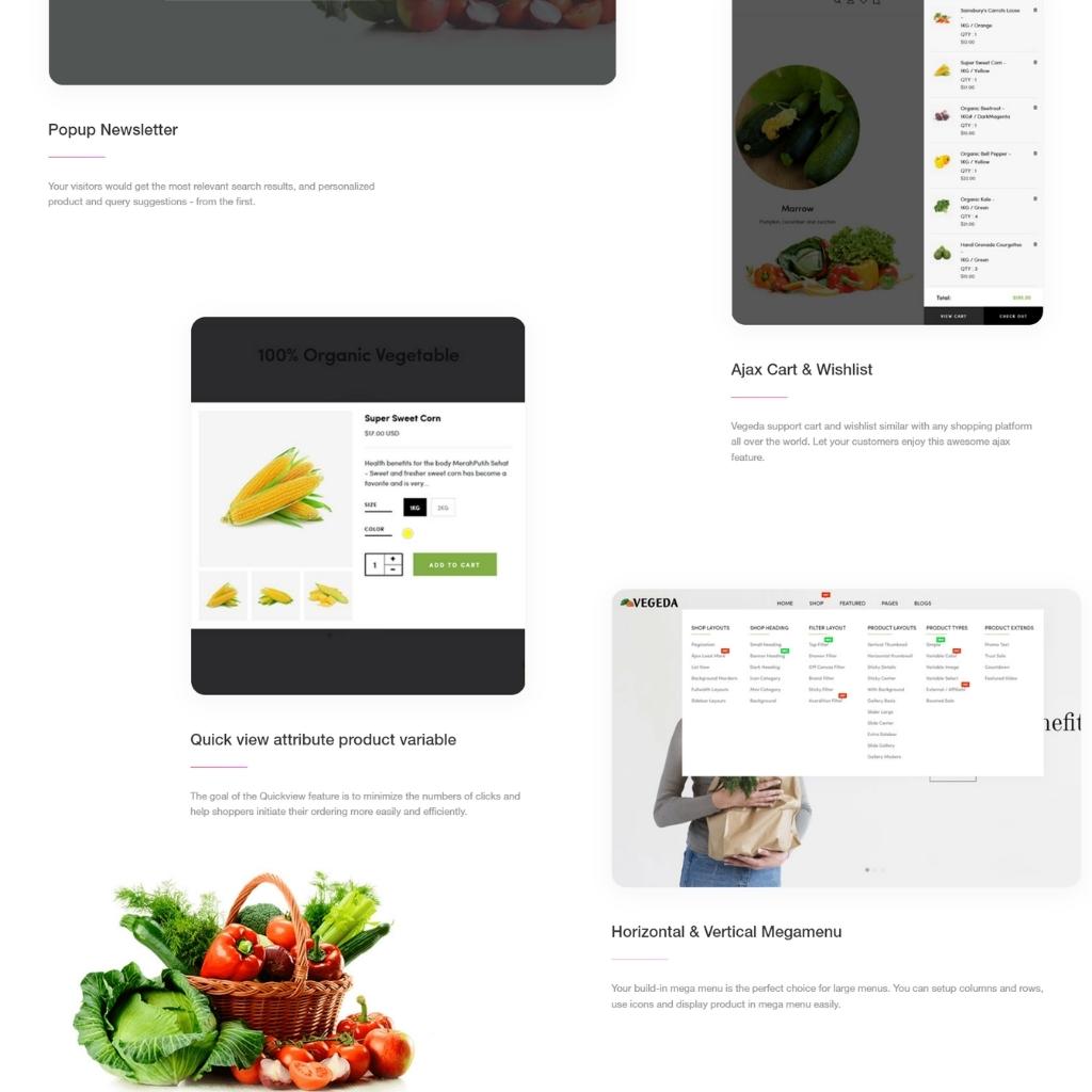 Vegetables And Organic Food E-Commerce Shopify Shopping Website