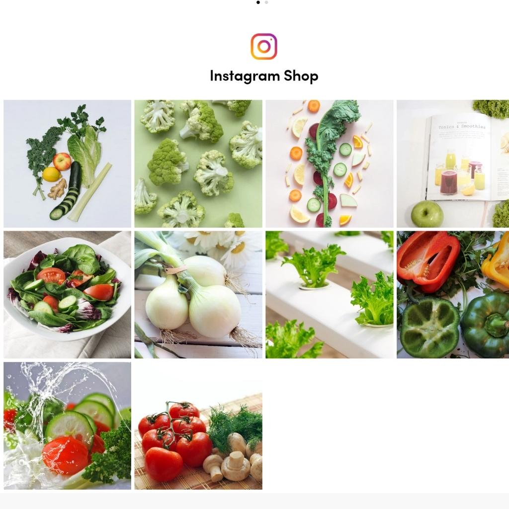 Vegetables And Organic Food E-Commerce Shopify Shopping Website