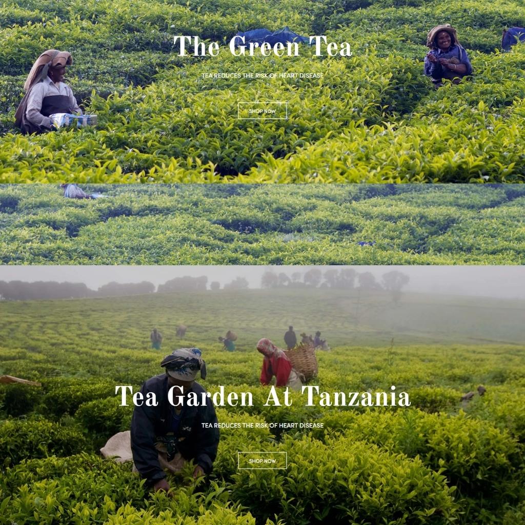 Tea Shop & Organic Store Responsive Shopify Shopping Website