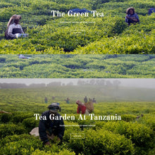 Tea Shop & Organic Store Responsive Shopify Shopping Website