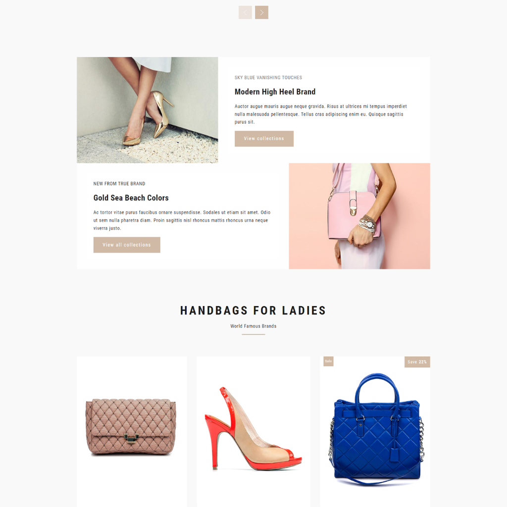 Modern & Trendy product Shopify Shopping Website