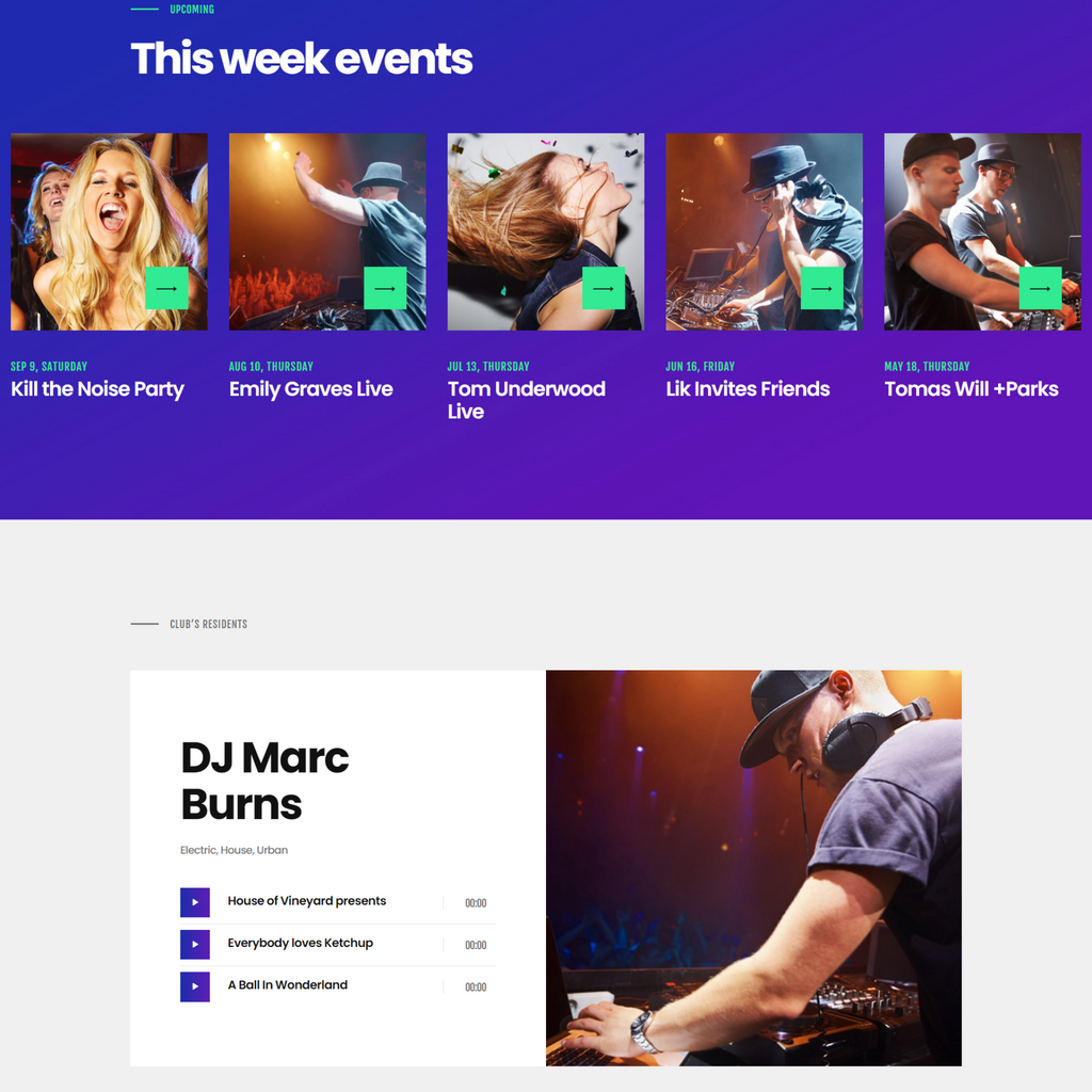 Night Club, DJ Concert & Music Event WordPress Responsive Website