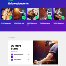 Night Club, DJ Concert & Music Event WordPress Responsive Website