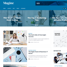 Business Blog & Magazine WordPress Responsive Website
