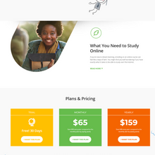 Distance Learning WordPress Responsive Website