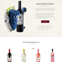 Multipurpose Elementor WooCommerce WordPress Responsive Website