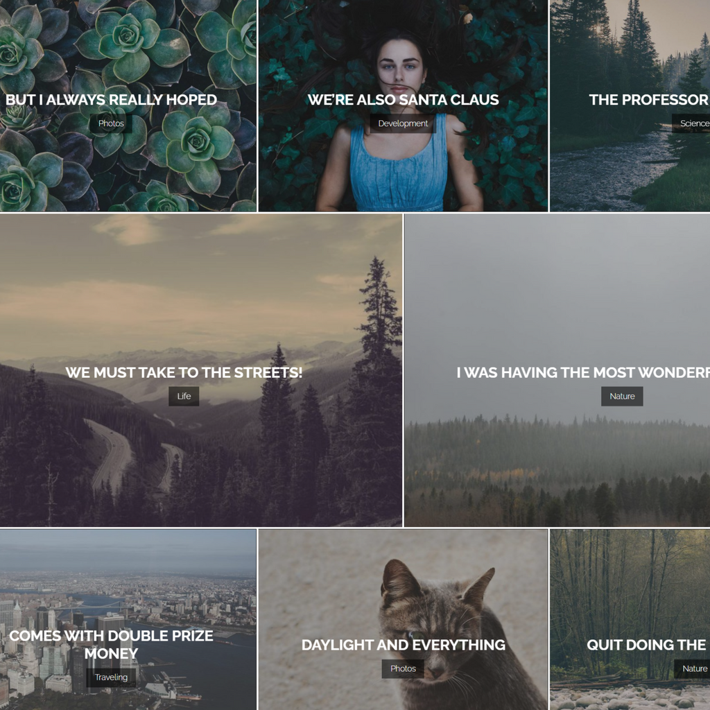 Easy Blogging WordPress Responsive Website