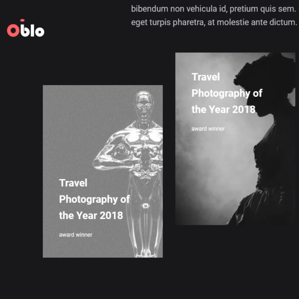Premium Agency Portfolio Responsive  WordPress Website