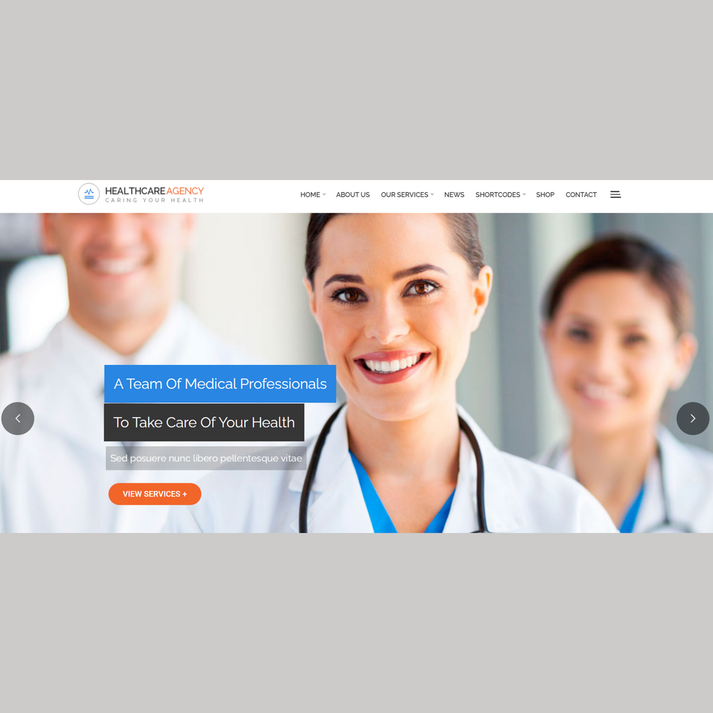Health Care Agency WordPress Responsive Website