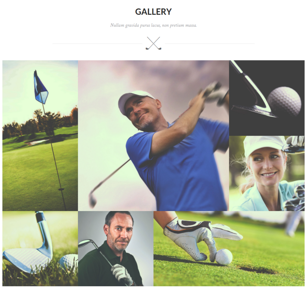 Golf Club WordPress Responsive Website