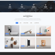 Responsive Business WordPress Website