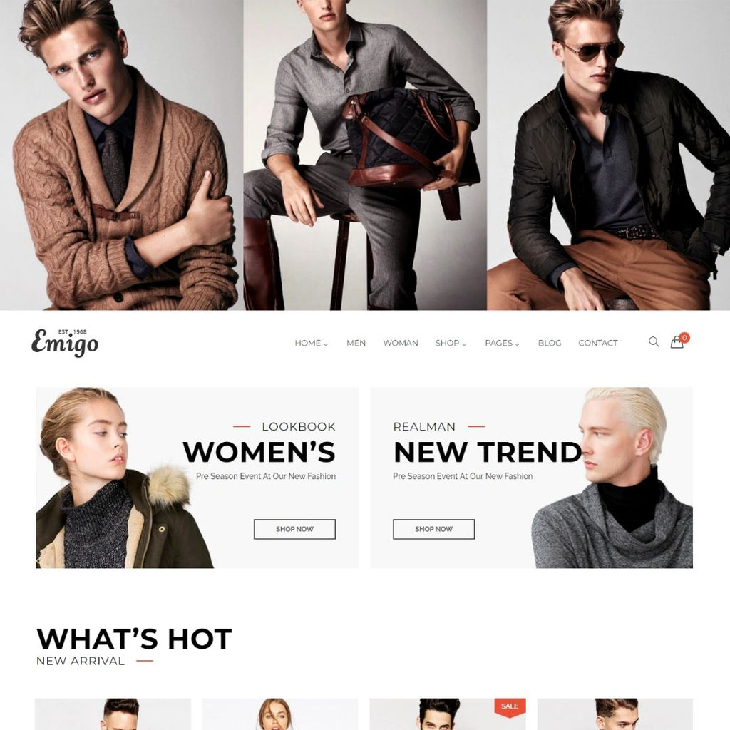 Ecommerce  Multi Concept Shopify Website