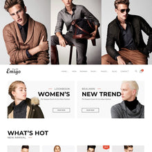 Ecommerce  Multi Concept Shopify Website