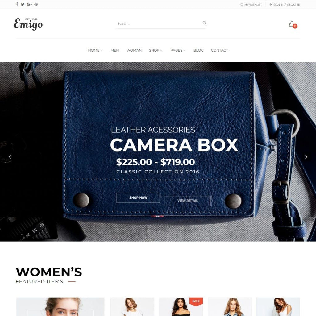 Ecommerce  Multi Concept Shopify Website