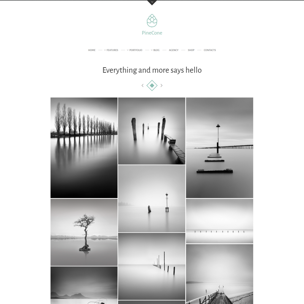 Creative Portfolio and Blog for Agency WordPress Responsive Website